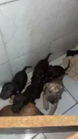 não tem nomes ainda