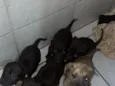 não tem nomes ainda