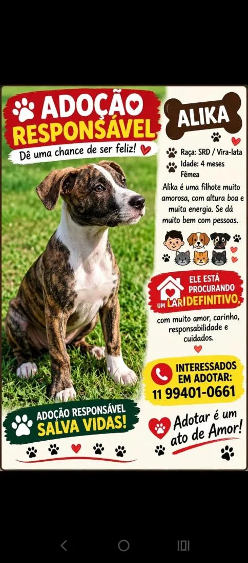 Cachorro raça SRD-ViraLata idade 2 a 6 meses nome Alika