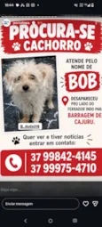 Bob