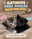 Sem nome 