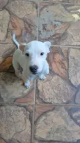 Snow e Aria 