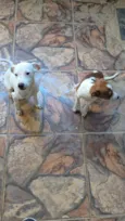 Snow e Aria 
