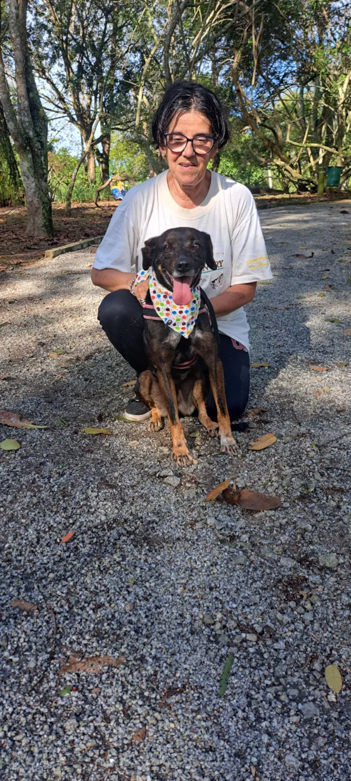 Cachorro raça SRD-ViraLata idade 5 anos nome Baruk