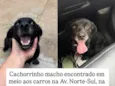 Sem nome 