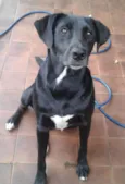 Billy