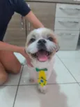 Hórus 