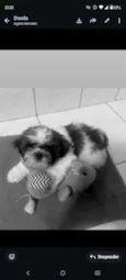 Hórus 
