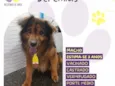 Jeremias