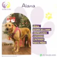 Alana