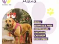 Alana