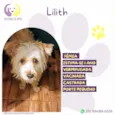Lilith