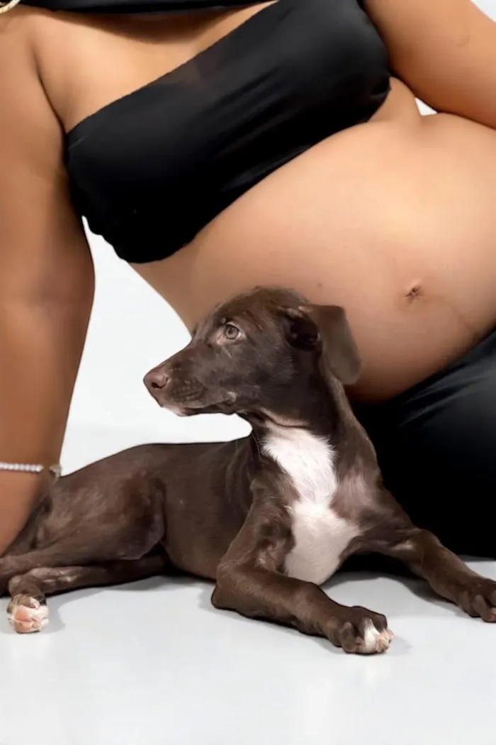 Cachorro raça SRD-ViraLata idade 1 ano nome Mel