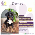 Doritos