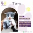Terra