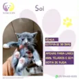 Sol
