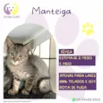 Manteiga