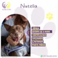 Nutella