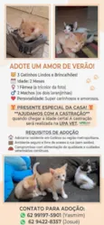 não tem nome