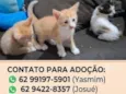 não tem nome
