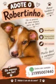 Robertinho