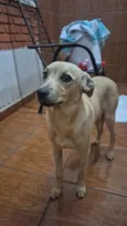não sei o nome