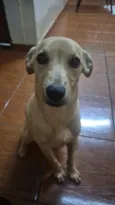 não sei o nome