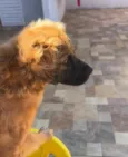 REX