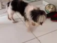Nina