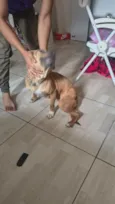 Nala