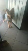 kori