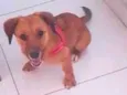Mel