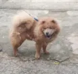 Fred