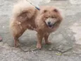 Fred