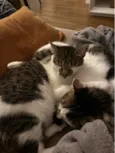 Choco e Vanilla