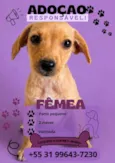 não tem ainda 