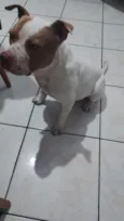grandão 