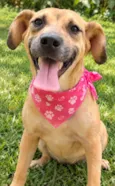 Dalila