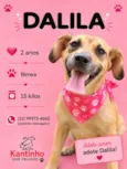 Dalila
