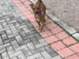 Spike