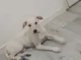Kira