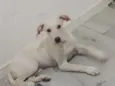Kira