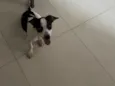 Meg