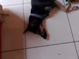 negão 