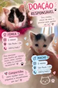 Zaya e Pandinha