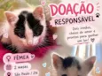 Zaya e Pandinha