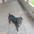 Bob