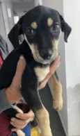 Francisco