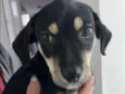 Francisco