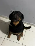 Mel